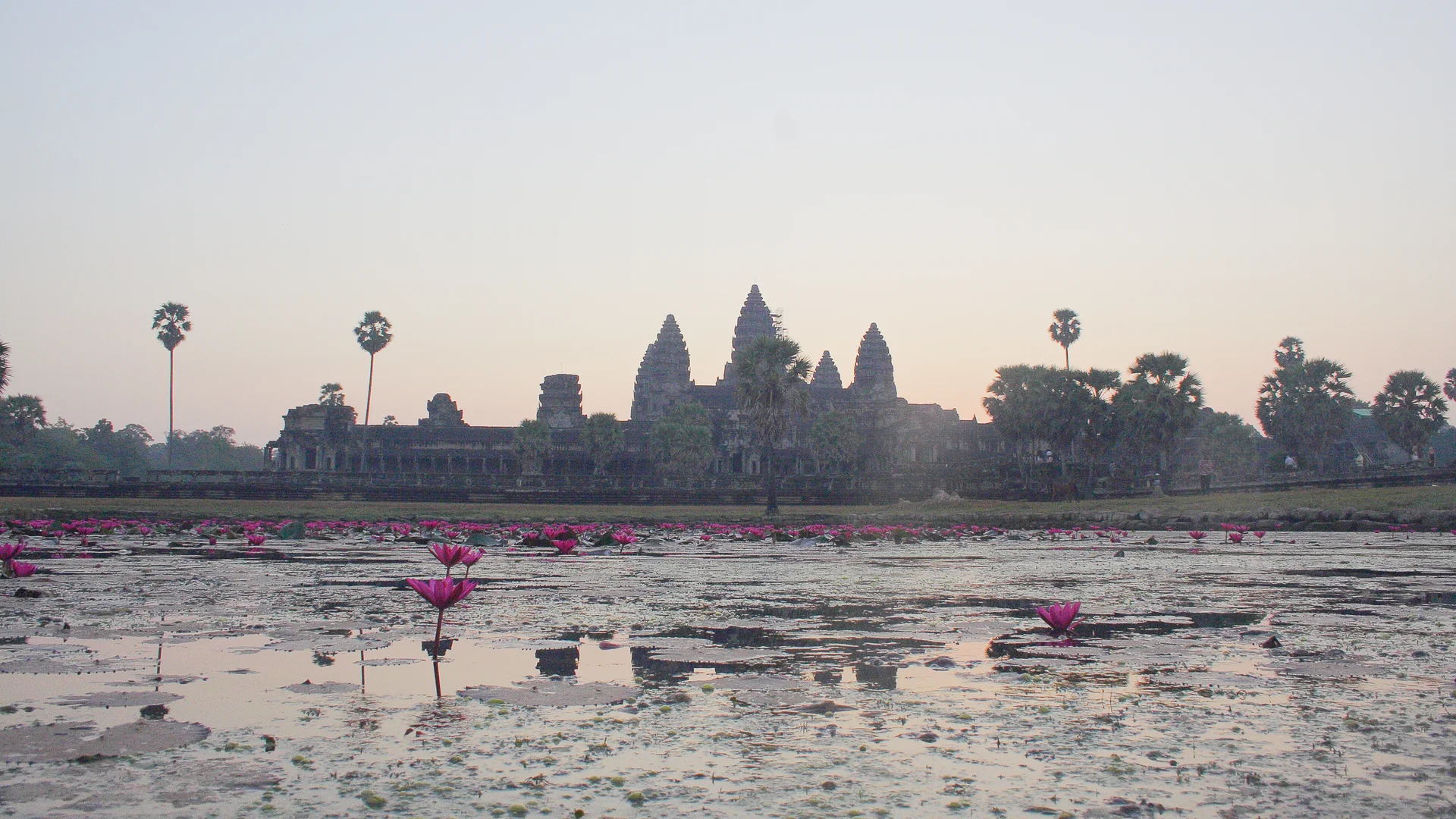 Best eSIM for Cambodia: which one to choose in 2026?