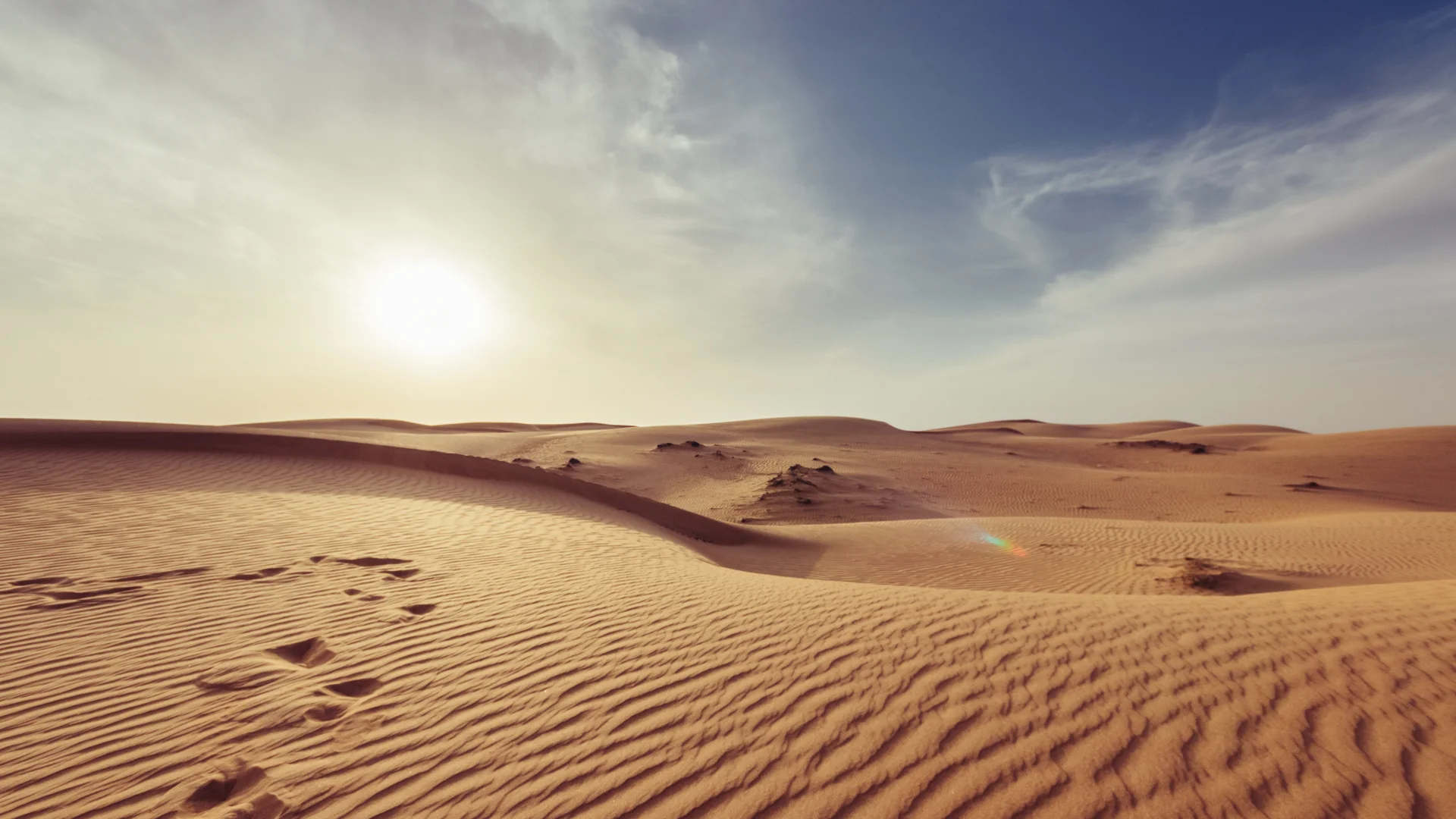 Meilleure eSIM pour Oman : laquelle choisir en 2026 ?